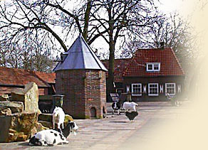 Artis Amsterdam Farm image