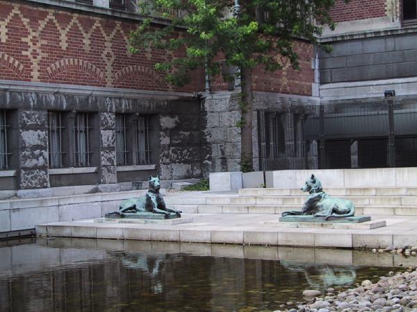 Amsterdam Rijksmuseum pool image